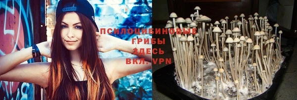кокс Кодинск
